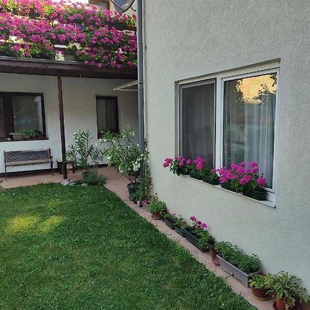Apartman Mitic Pozarevac Exterior photo